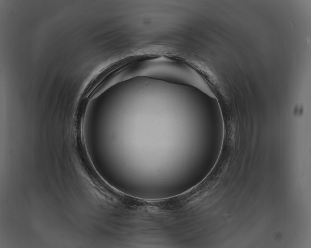 X0000091690392200708231445