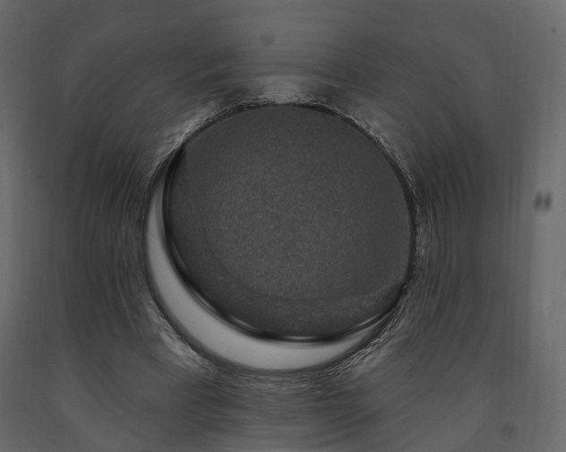 X0000091690393200708231445