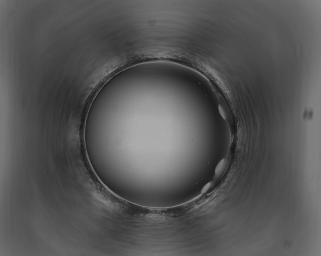 X0000091690394200708231445