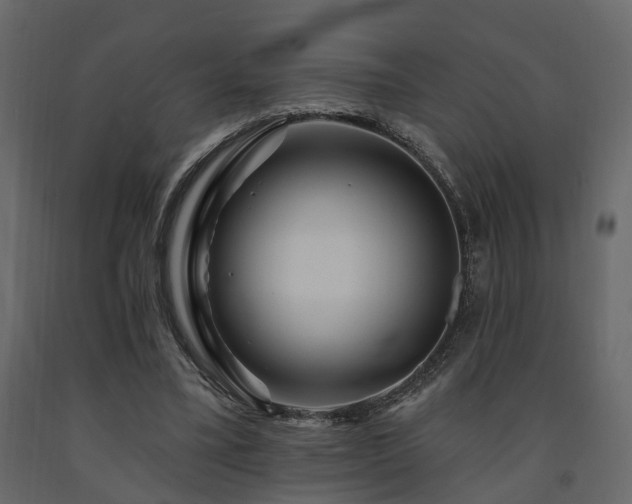 X0000091690395200708231445