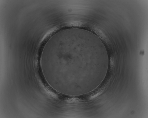 X0000091690396200708231445