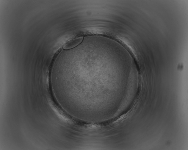X0000091690398200708231445