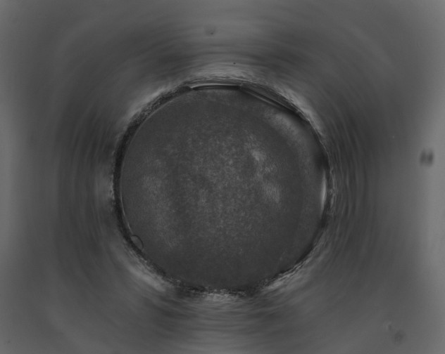 X0000091690399200708231445