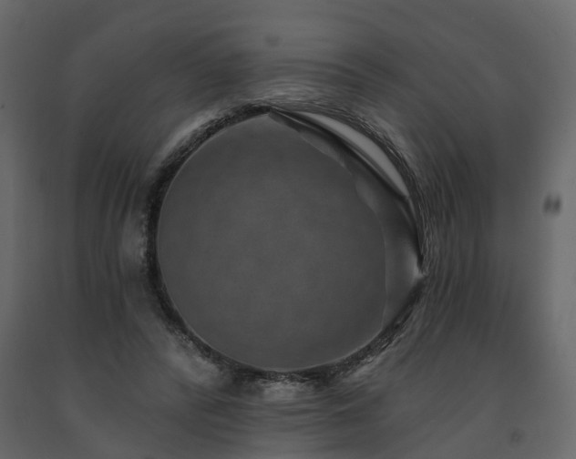 X0000091690400200708231445