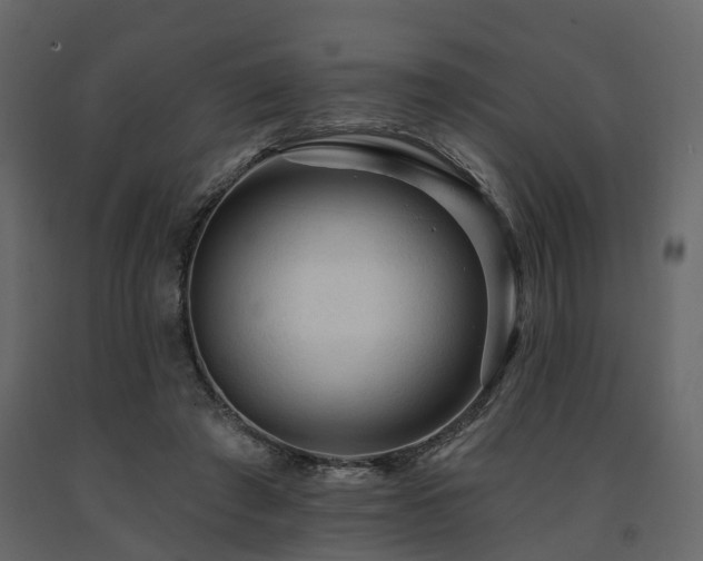 X0000091690401200708231445