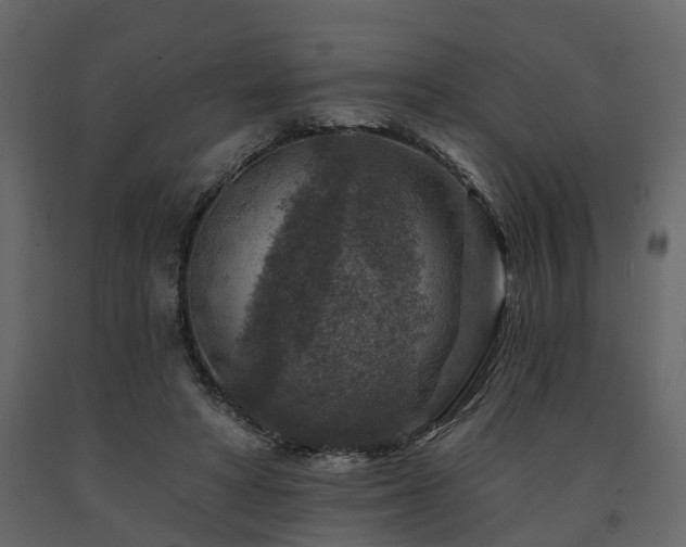 X0000091690402200708231445