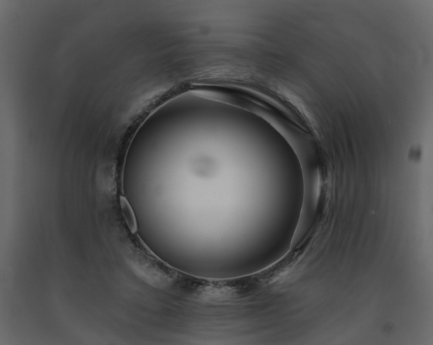 X0000091690403200708231445