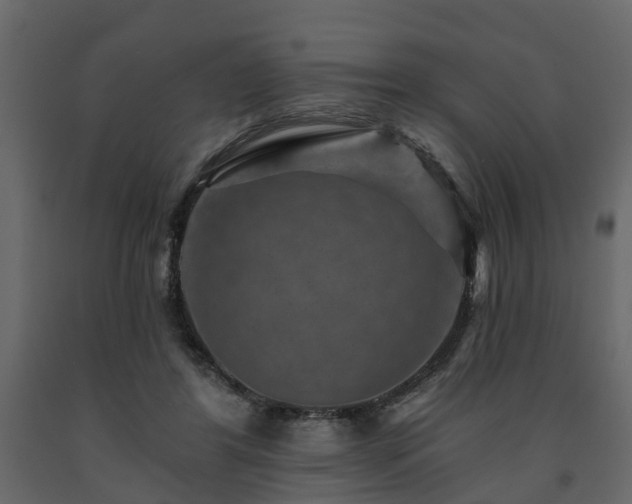 X0000091690404200708231445
