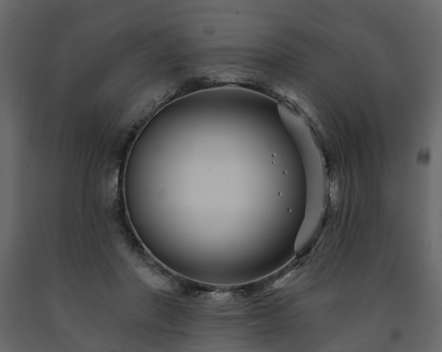 X0000091690406200708231445