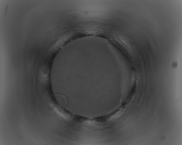 X0000091690408200708231444
