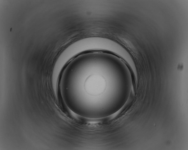 X0000091690409200708231444