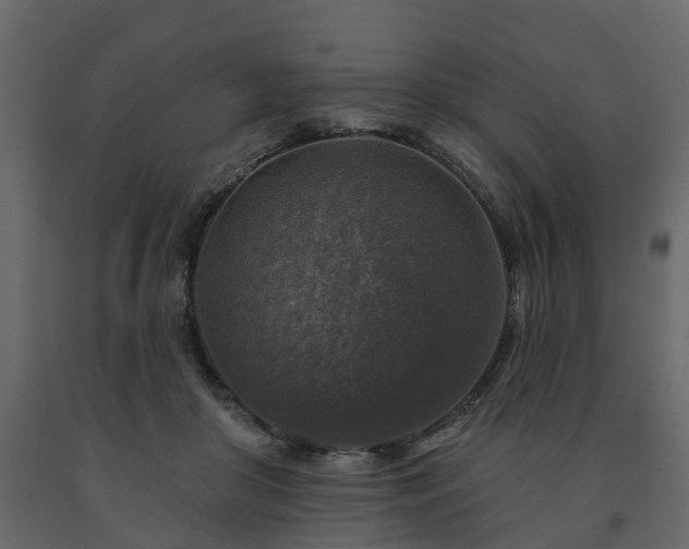 X0000091690410200708231444