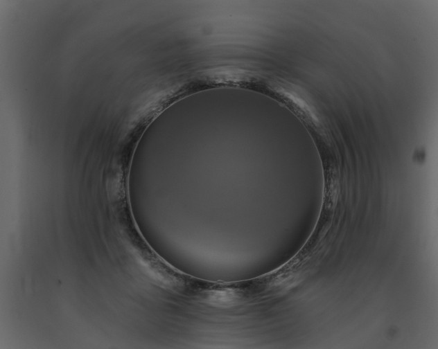 X0000091690411200708231444
