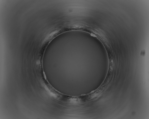 X0000091690415200708231444