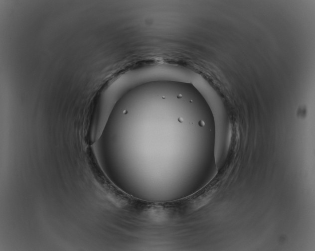 X0000091690416200708231444
