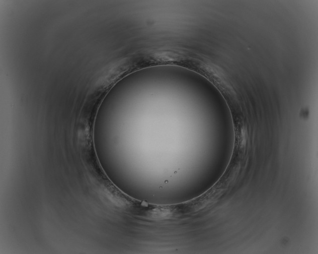 X0000091690418200708231444
