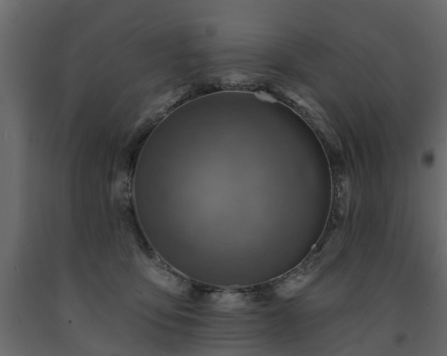 X0000091690419200708231444