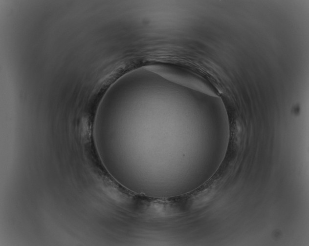 X0000091690420200708231444
