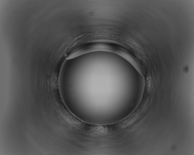 X0000091690421200708231444