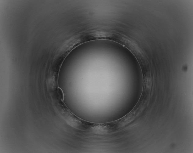 X0000091690422200708231444