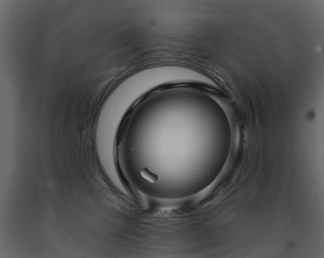 X0000091690423200708231444