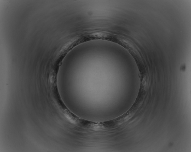 X0000091690424200708231444