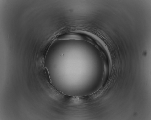 X0000091690425200708231444