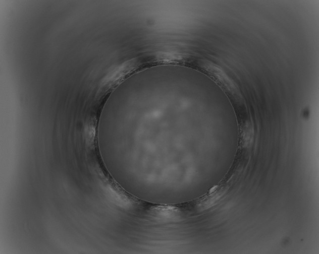 X0000091690427200708231444