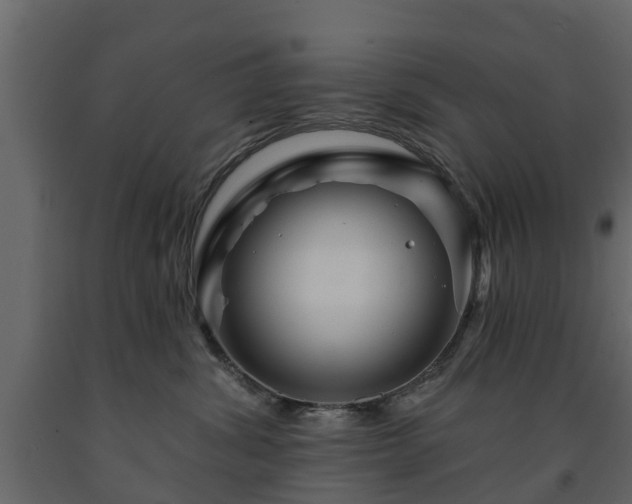 X0000091690428200708231444