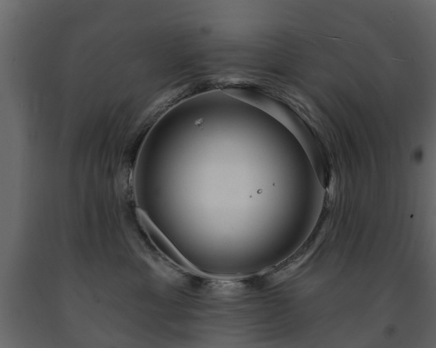 X0000091690429200708231444