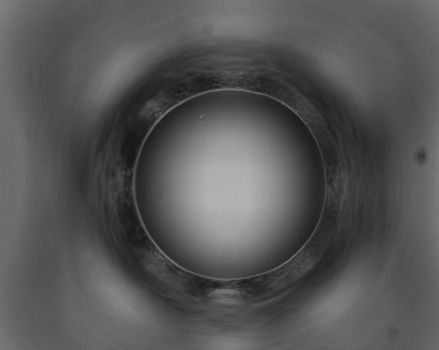 X0000091690430200708231444