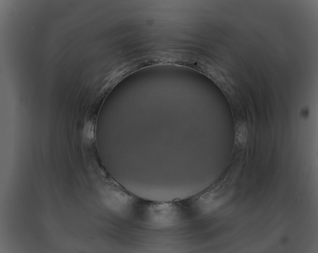 X0000091690431200708231444