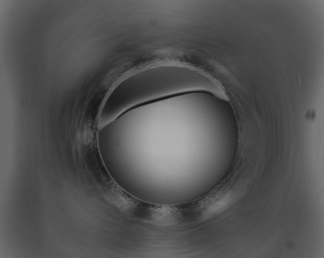 X0000091690432200708231444