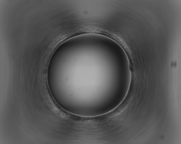 X0000091690433200708231443