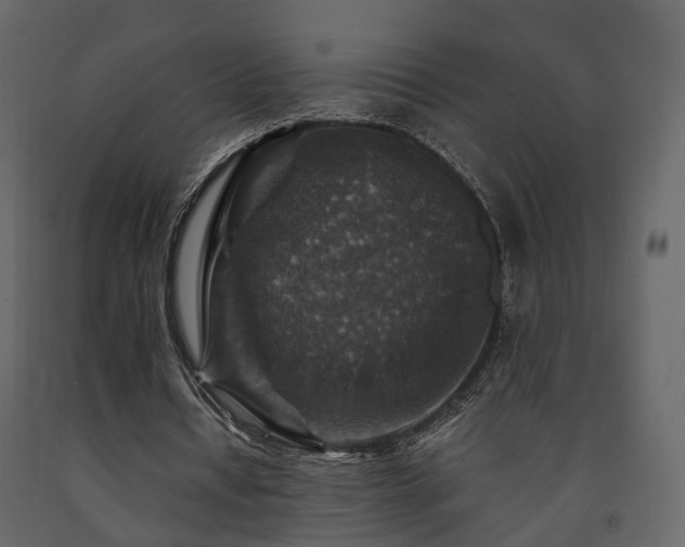 X0000091690434200708231444