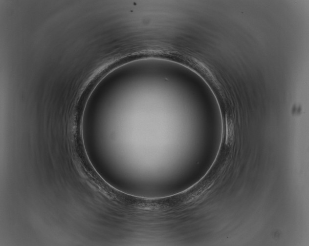 X0000091690435200708231444