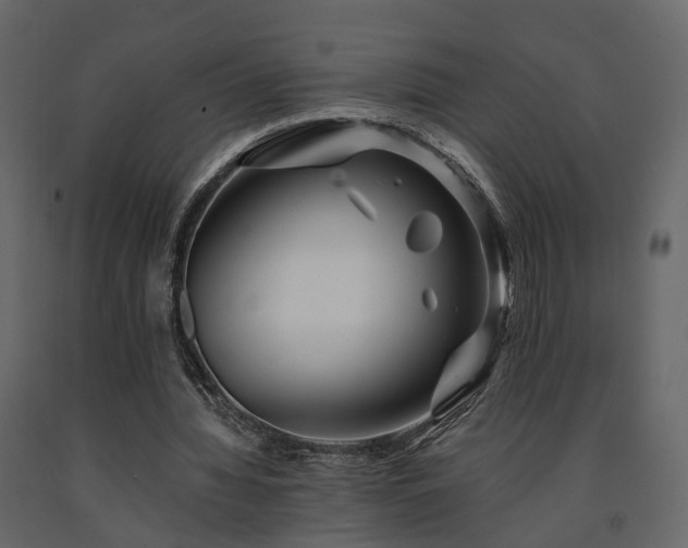 X0000091690436200708231444