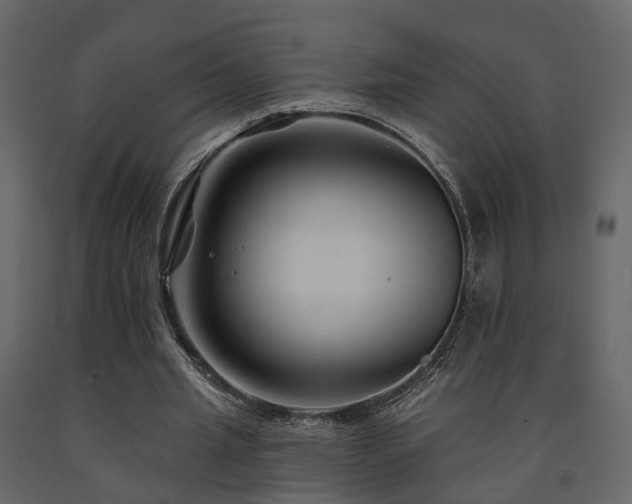 X0000091690437200708231444