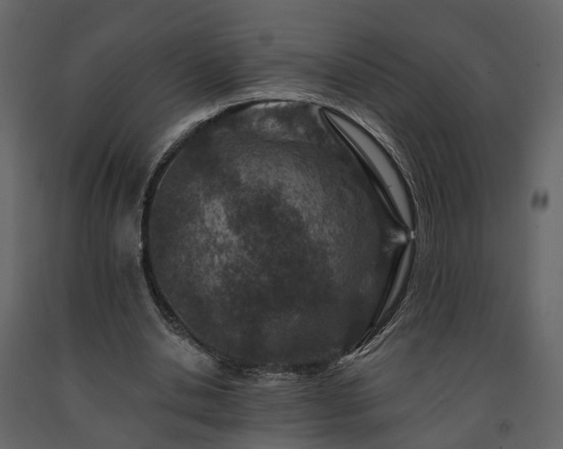X0000091690438200708231444