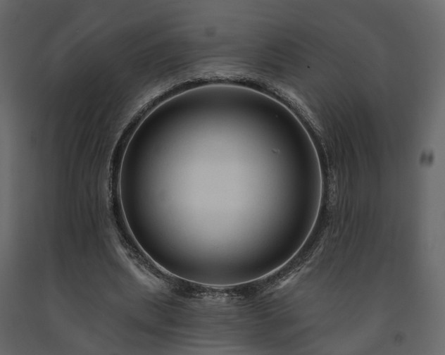 X0000091690439200708231444