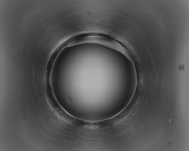 X0000091690440200708231444
