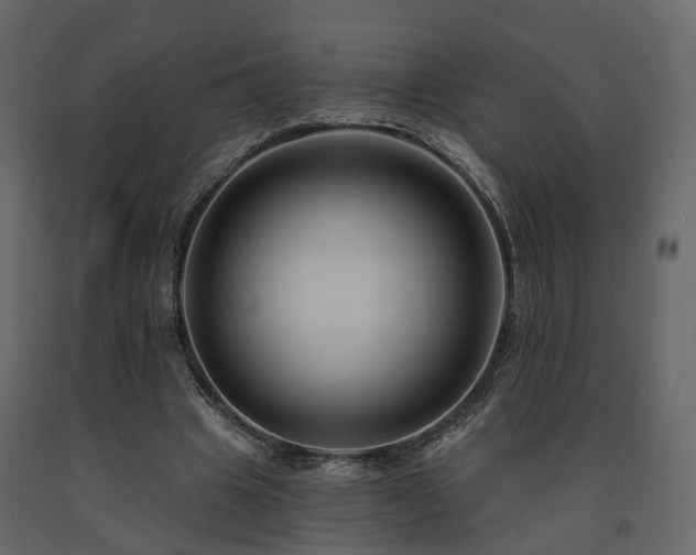 X0000091690441200708231444