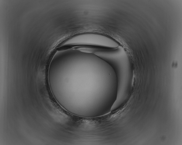 X0000091690442200708231444