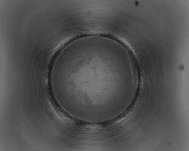 X0000091690443200708231444