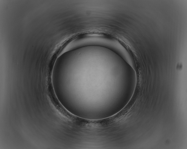 X0000091690444200708231444