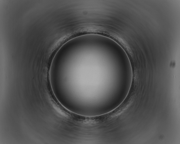 X0000091690445200708231444