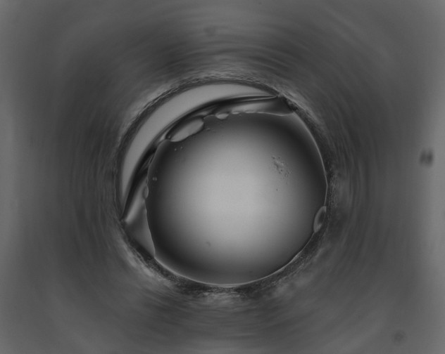 X0000091690446200708231444