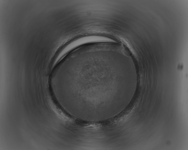 X0000091690447200708231444