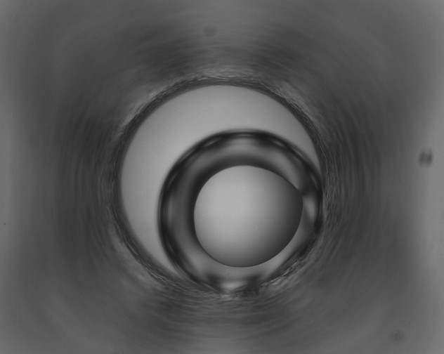 X0000091690448200708231444