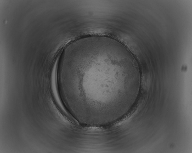 X0000091690449200708231444